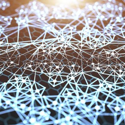 Network management Network management